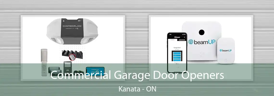 Commercial Garage Door Openers Kanata - ON