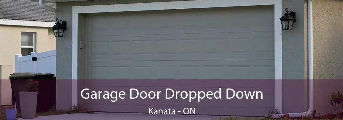 Garage Door Dropped Down Kanata - ON
