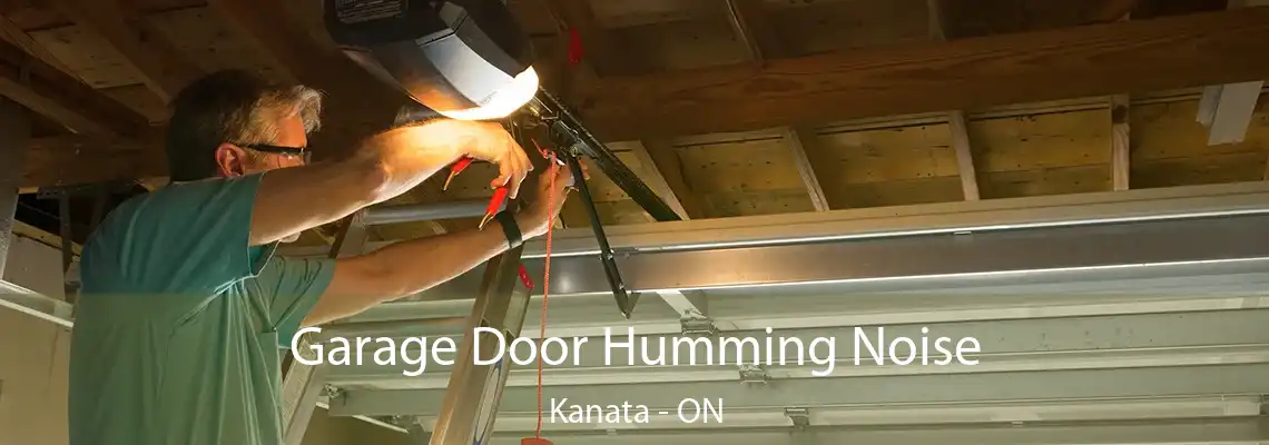 Garage Door Humming Noise Kanata - ON