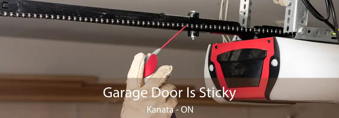 Garage Door Is Sticky Kanata - ON