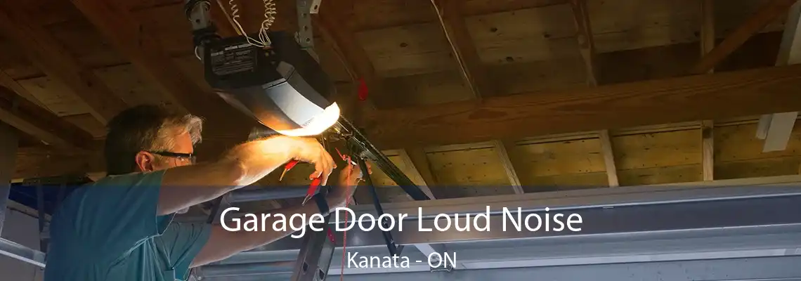 Garage Door Loud Noise Kanata - ON