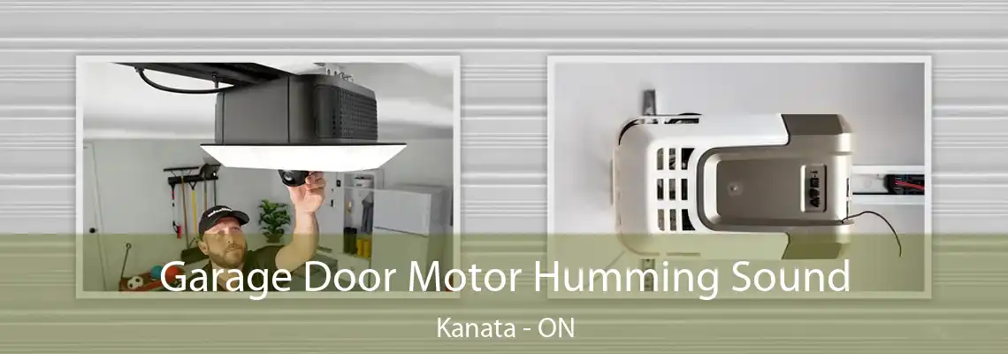 Garage Door Motor Humming Sound Kanata - ON