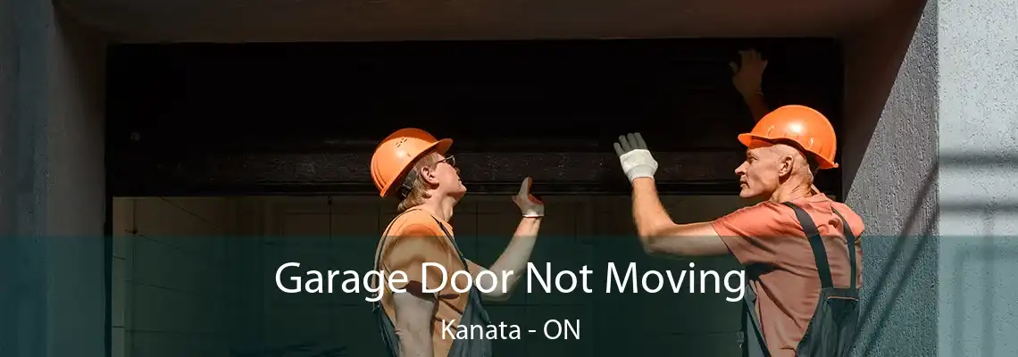 Garage Door Not Moving Kanata - ON