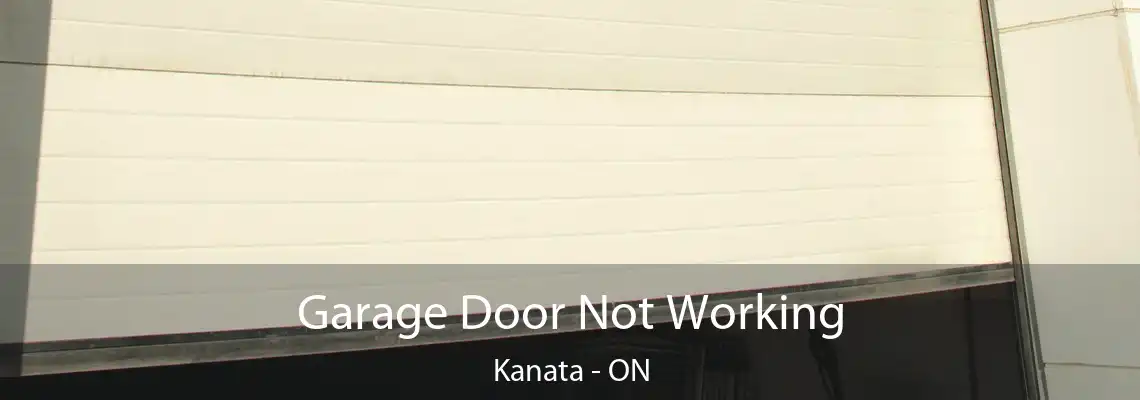 Garage Door Not Working Kanata - ON