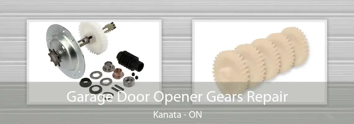 Garage Door Opener Gears Repair Kanata - ON