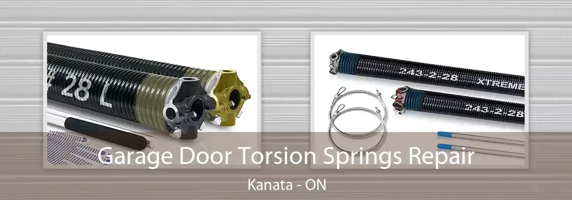 Garage Door Torsion Springs Repair Kanata - ON