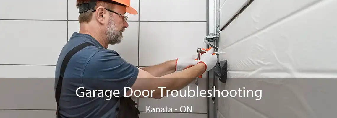 Garage Door Troubleshooting Kanata - ON