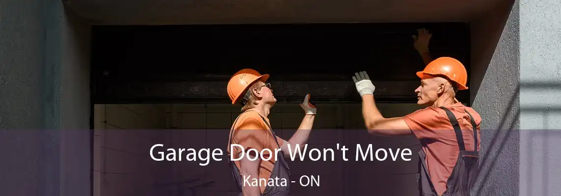 Garage Door Won't Move Kanata - ON