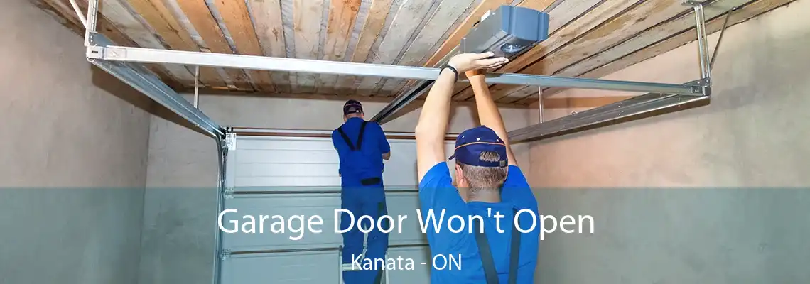 Garage Door Won't Open Kanata - ON