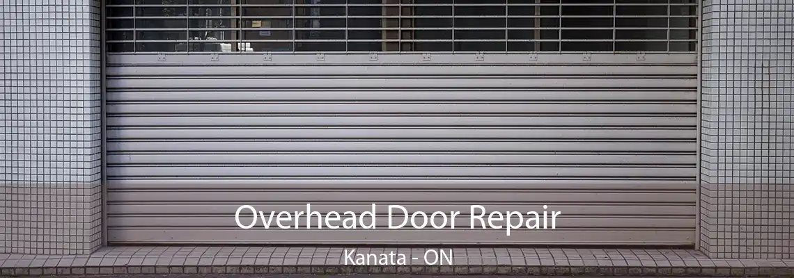 Overhead Door Repair Kanata - ON